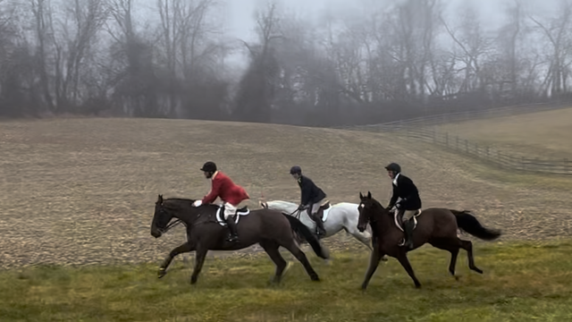 Foxhunter