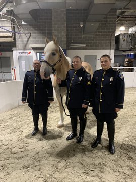 Mounted Police WIHS