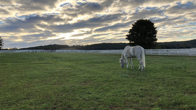 Hercules Sagamore field