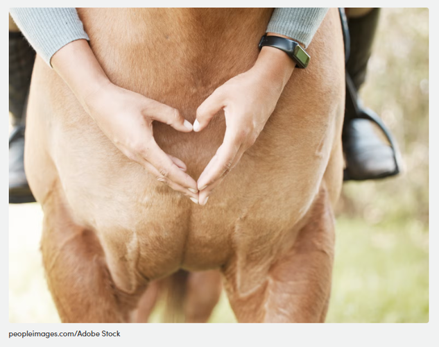 Horse Heart Hands