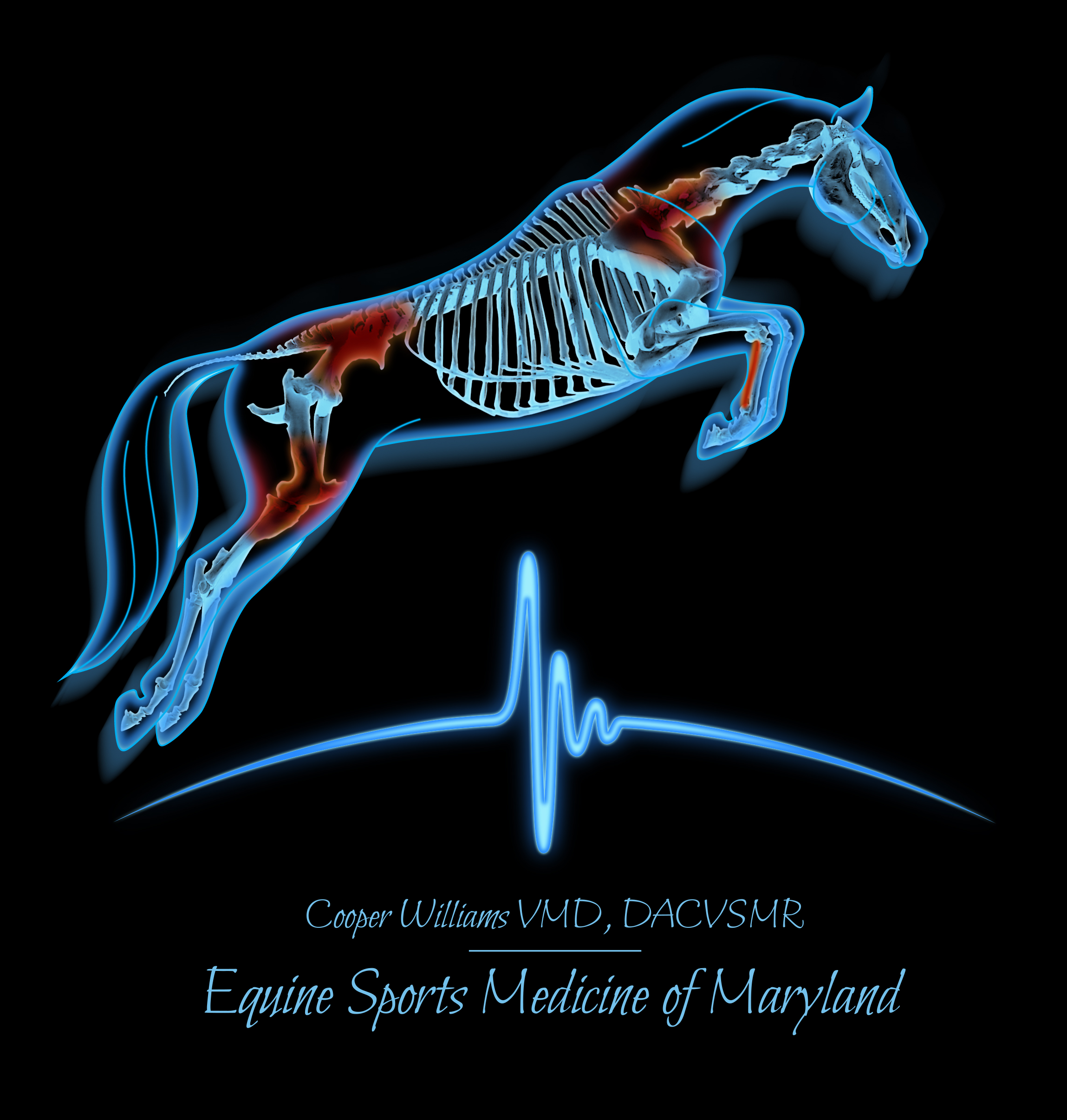 Equine Sports Medicine of Maryland Logo