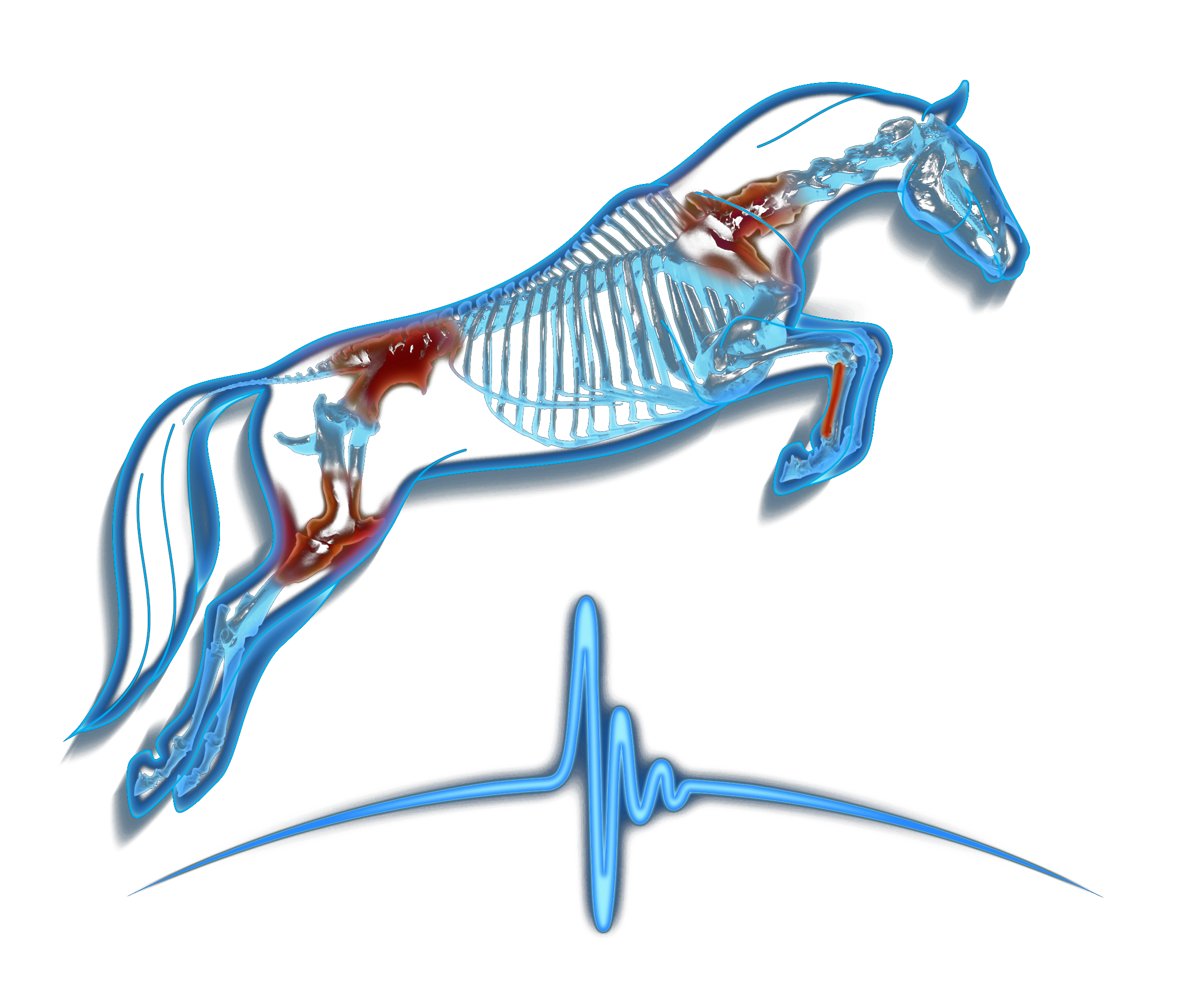 Equine Sports Medicine of Maryland Logo