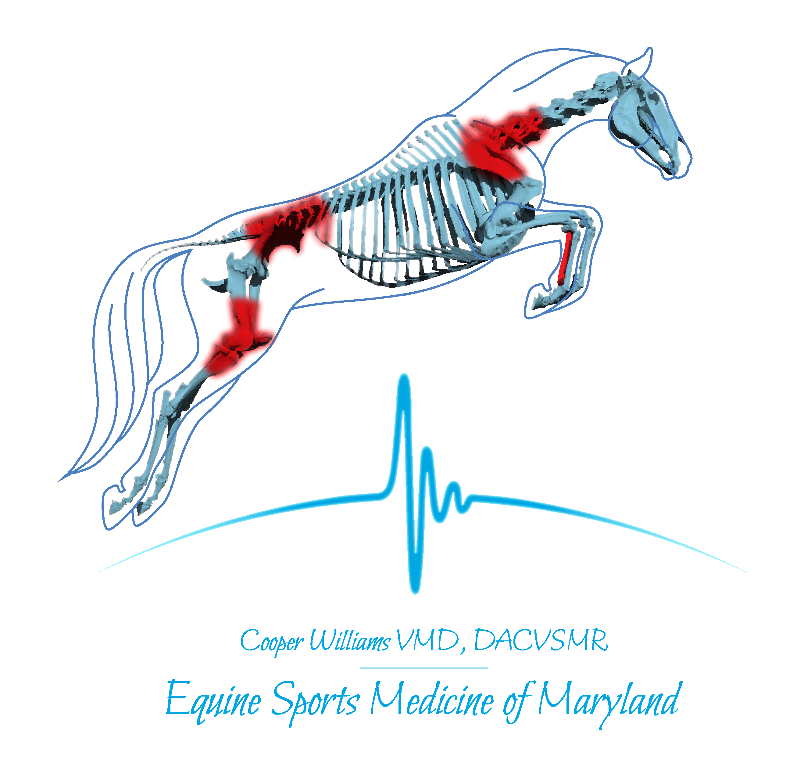 Equine Sports Medicine of Maryland Logo