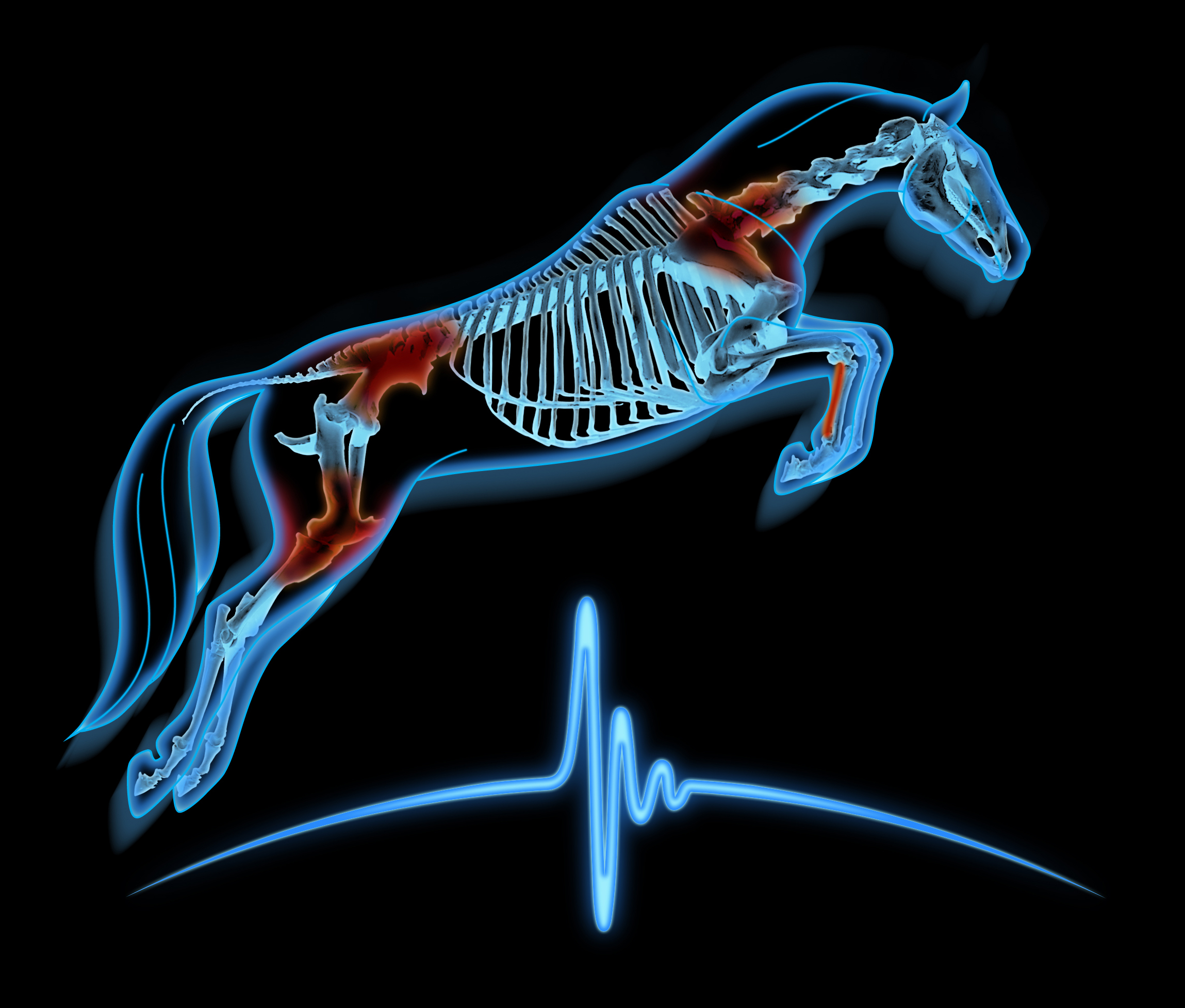 Equine Sports Medicine of Maryland Logo