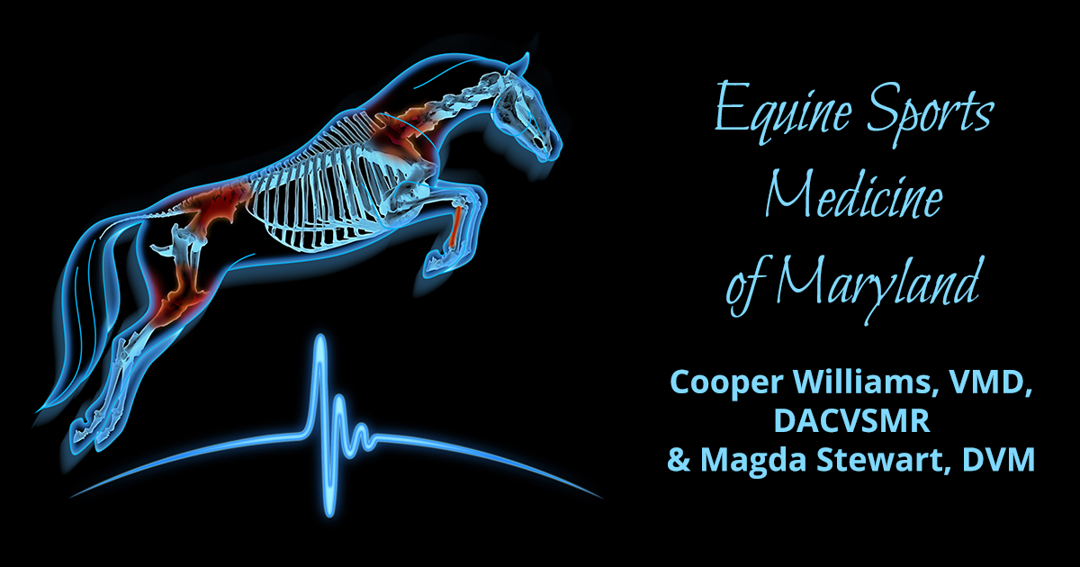 Modern Treatments and Techniques, MidAtlantic Region Equine Sports Medicine of Maryland